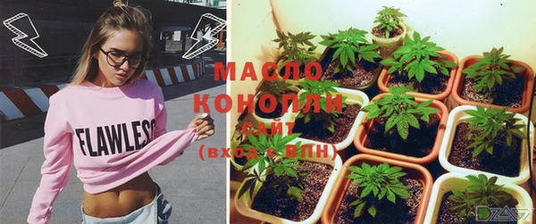 дмт Богородицк