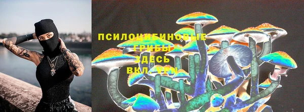 прущая мука Богородск