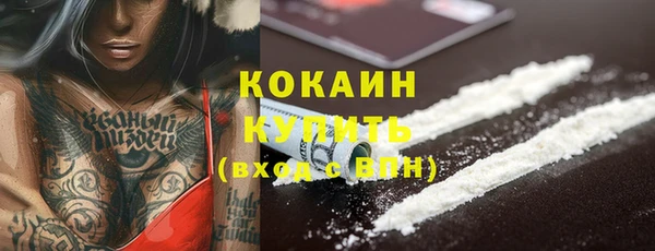 PSILOCYBIN Михайлов