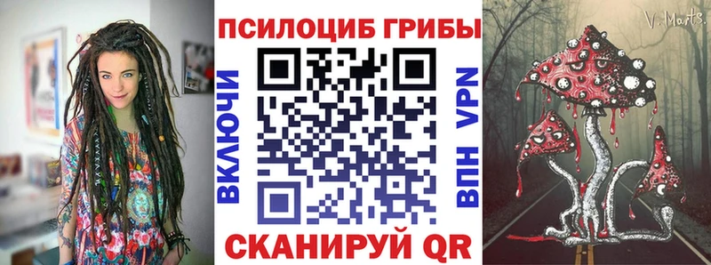 Галлюциногенные грибы Cubensis  МЕГА   Вельск 